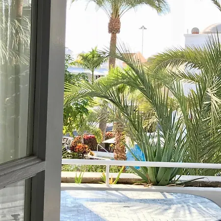 Beachfront Amazing Apartment Apartamento Costa Adeje (Tenerife)